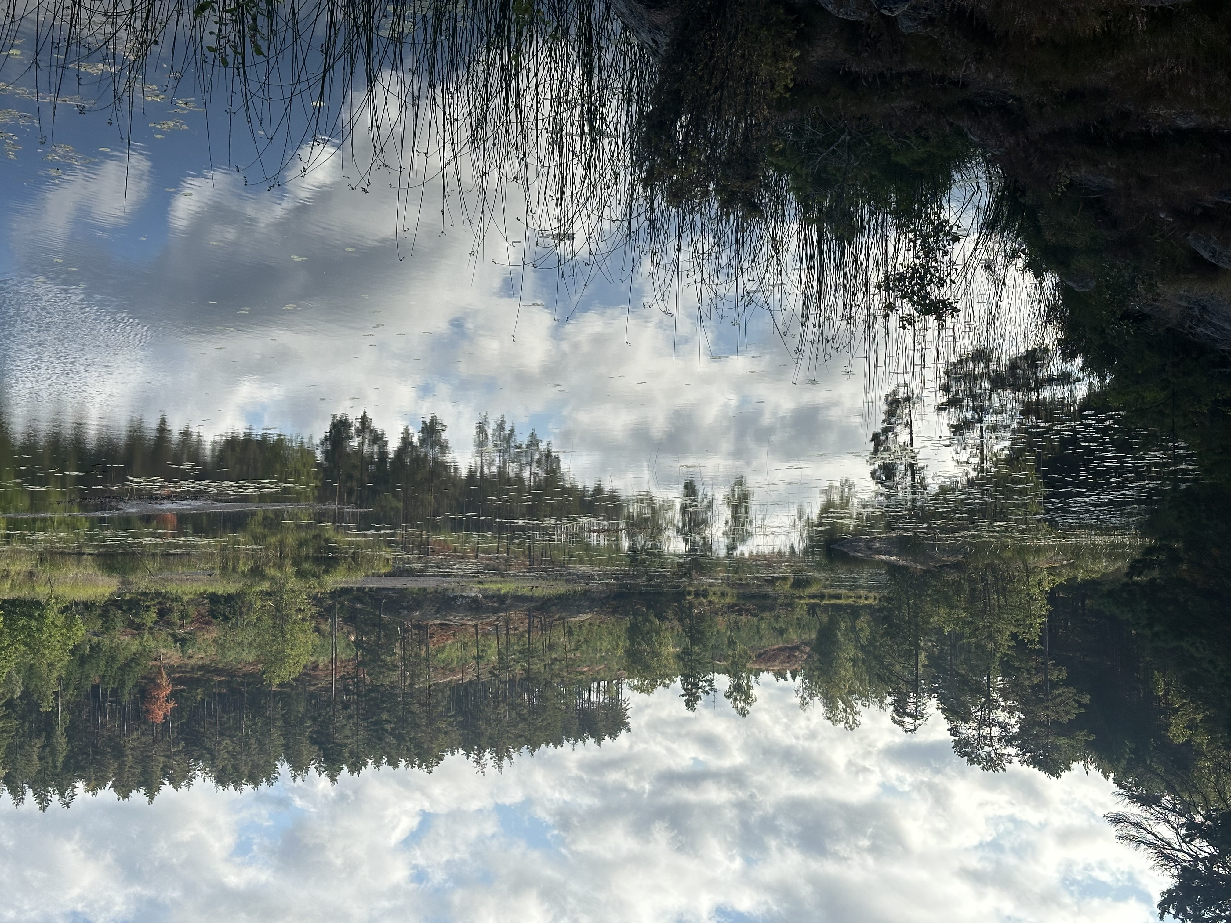 jezero Masugnsjön
