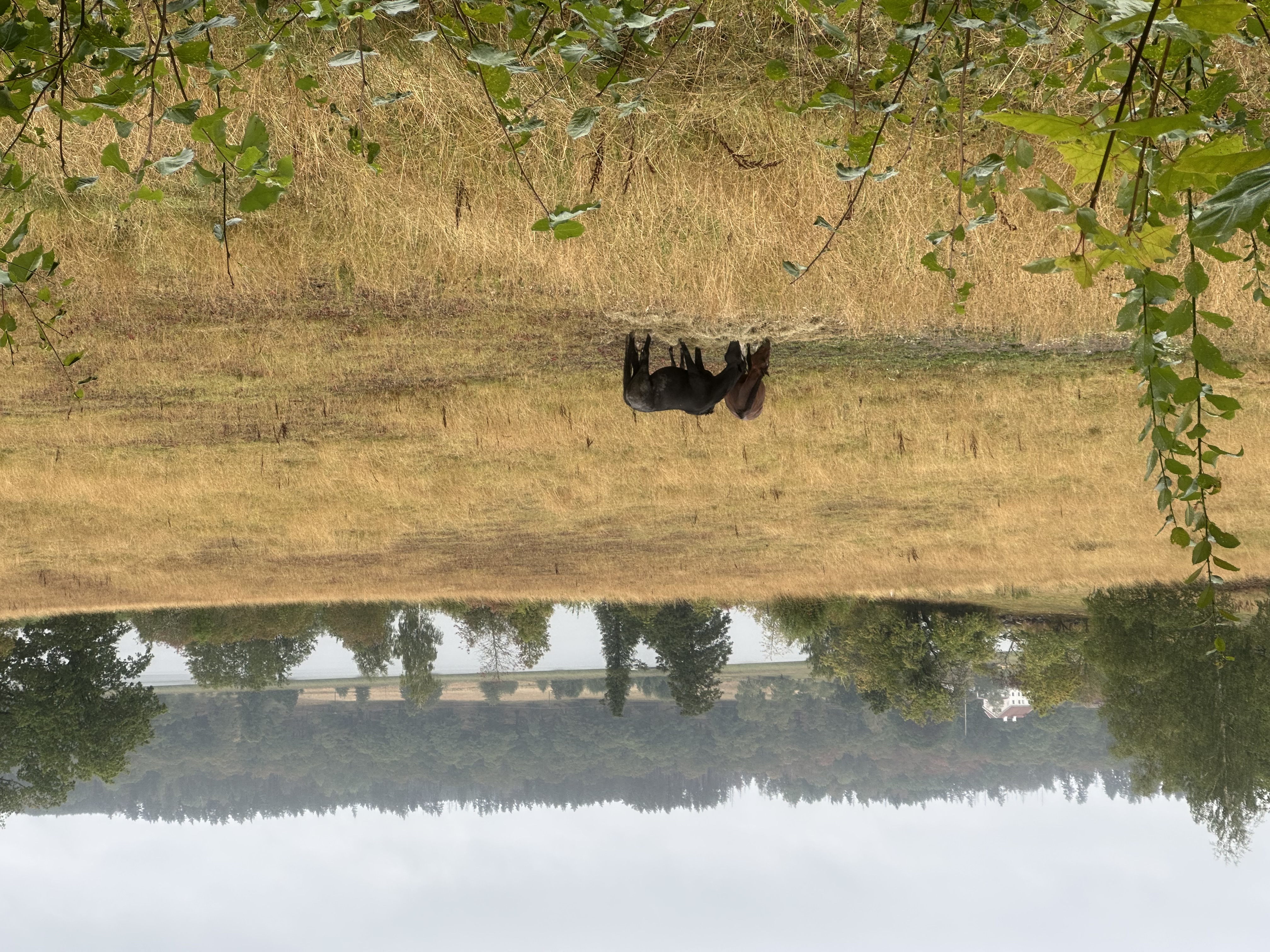 Panorámata
